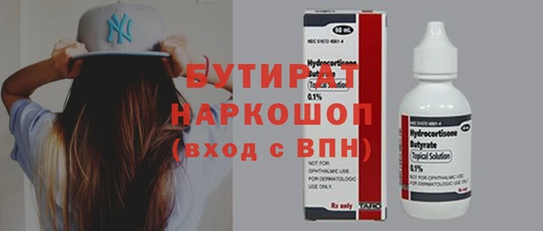 индика Михайловск