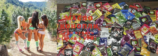 индика Михайловск