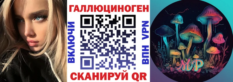 Галлюциногенные грибы GOLDEN TEACHER  Купить  Таганрог 